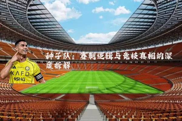 种子队:赛制逻辑与竞技真相的深度拆解